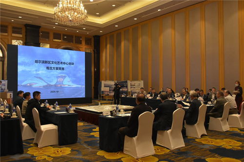 哈爾濱新區文化藝術中心項目建設邁出重要步伐 規劃設計招標圓滿完成，文化藝術交流活動蓄勢待發